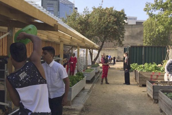 A colour image of Jamie's Farm group working on The Oasis Farm Waterloo Urban Farm Initiative supported by the Ellis Campbell Foundation