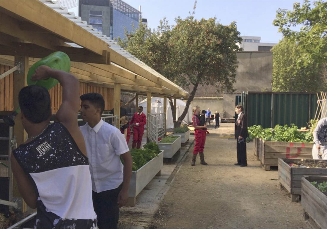 A colour image of Jamie's Farm group working on The Oasis Farm Waterloo Urban Farm Initiative supported by the Ellis Campbell Foundation