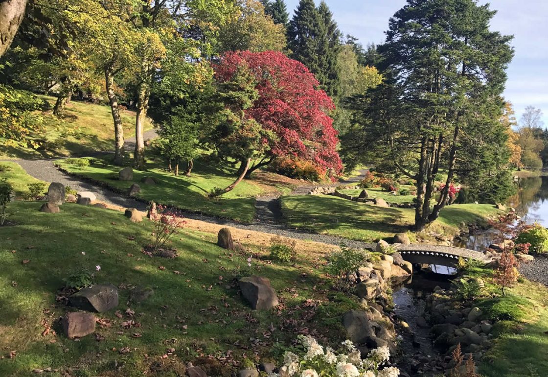 A colour image of the Japanese Garden Restoration Project Perthshire supported by The Ellis Campbell Foundation 2017-October