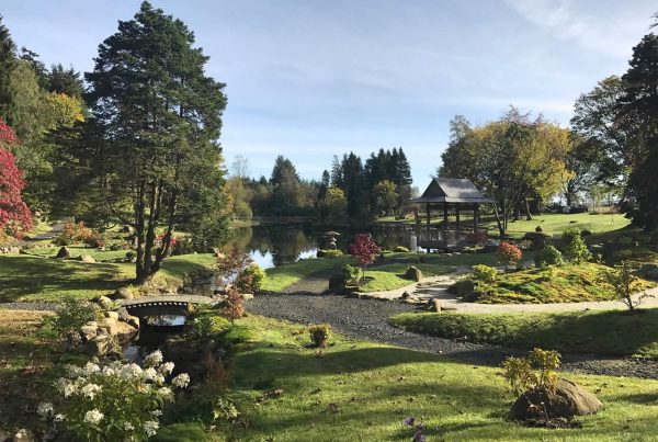 A colour image of the Japanese Garden Restoration Project Perthshire supported by The Ellis Campbell Foundation October 2017-2