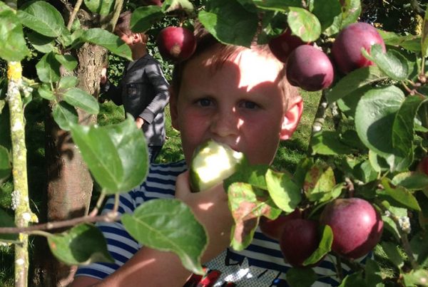 A colour image of a boy eating an apple amongst apple trees as part of The Country Trust Hampshire Farm Discovery Programme Supported by The Ellis Campbell Foundation