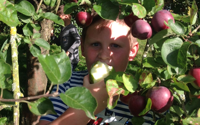 A colour image of a boy eating an apple amongst apple trees as part of The Country Trust Hampshire Farm Discovery Programme Supported by The Ellis Campbell Foundation